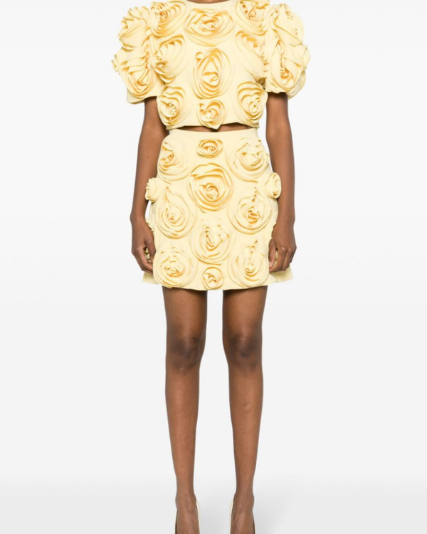 Aelis Puff Shoulder Floral Skirt Set